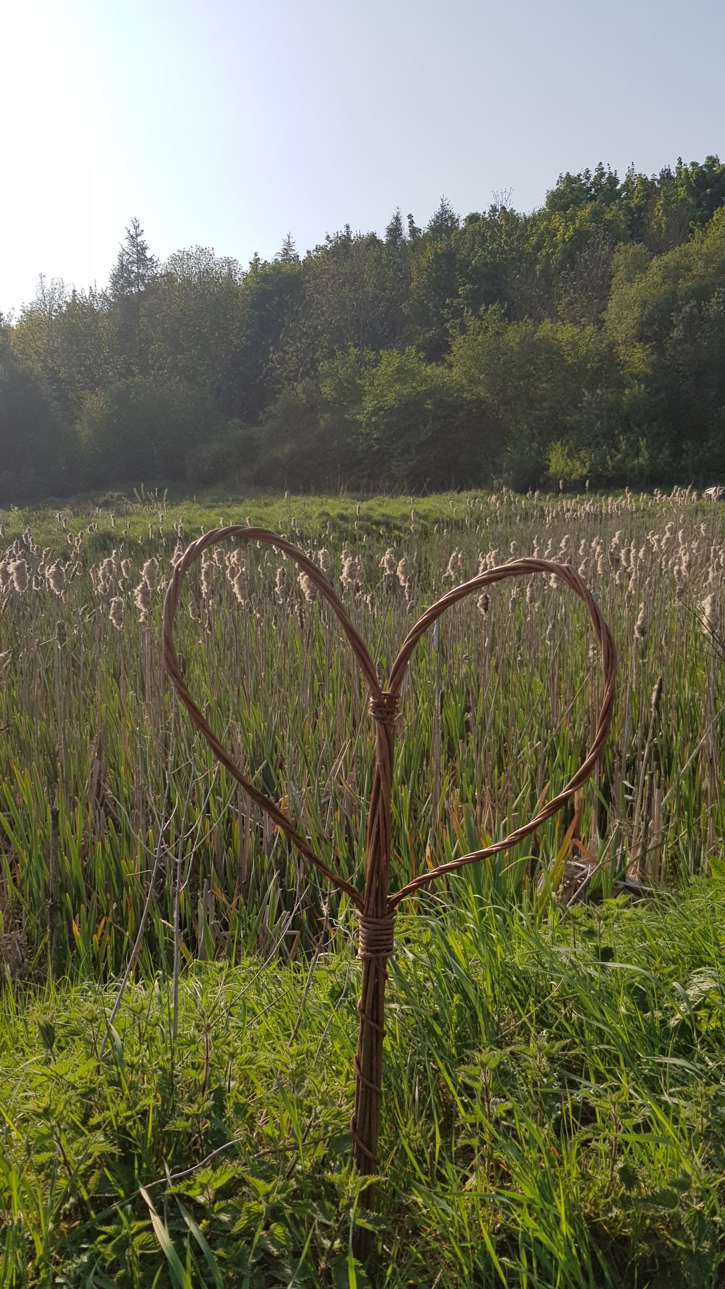 Willow Heart
