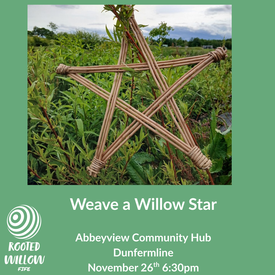 Weave a Willow Star Workshop - Dunfermline